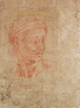 Póster Study of a Head