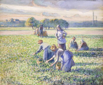 Póster The Harvest of Peas, 1887