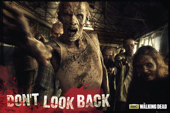 Poster The Walking Dead - Zombies