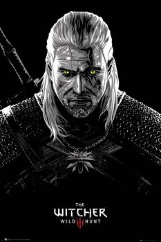 Póster The Witcher - Toxicity Poisoning