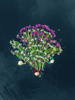 Póster Three Vietnamese women in the Mekong