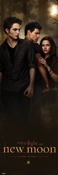 Poster TWILIGHT NEW MOON - woods