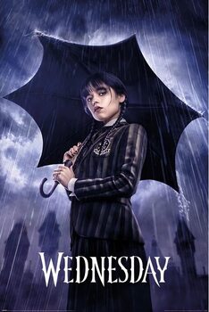 Póster Wednesday - Downpour