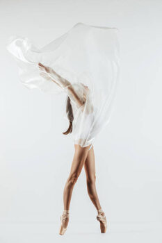 Poster Young ballet dancer is posing at the studio
