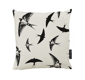 Pude Swallow Bird