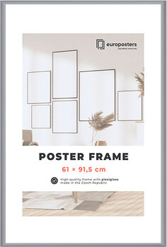POSTERS Rahmen für Poster 61×91,5 cm Amerikanischer Edelstahl
