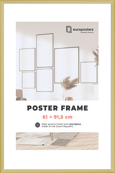 POSTERS Rahmen für Poster 61×91,5 cm Golden - Kunststoff