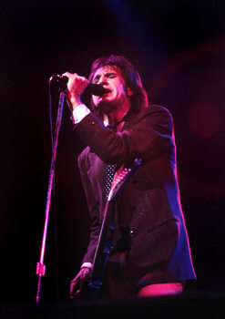 Fototapeta Ray Davies - portrait