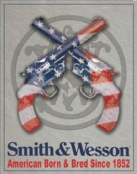 S&W - SMITH & WESSON - American Born Metalen Wandplaat