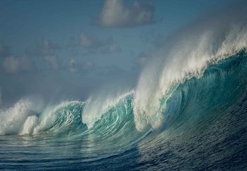 Ταπετσαρία τοιχογραφία  Salt Water Machine