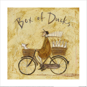 Umělecký tisk Sam Toft - Box Of Ducks