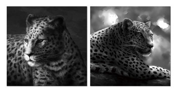 Beast hidden in gray Schilderij
