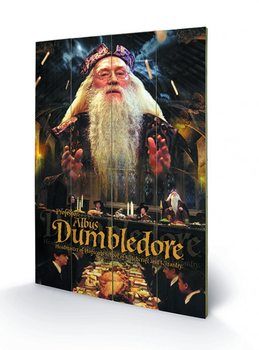 Harry Potter - Dumbledore Schilderij op hout