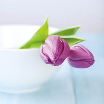 Skleněný Obraz Fialové tulipány v misce