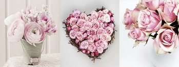 Skleněný Obraz Pink World - Růžové růže