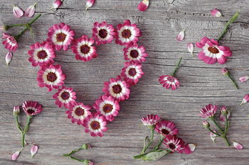 Skleněný Obraz Růžové srdce z květin