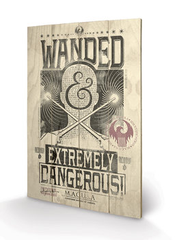 Fantastic Beasts And Where To Find Them - Extremely Dangerous Slika na les