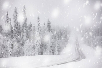 Samolepka Snowflakes on icy empty road in