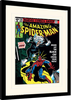 Indrammet plakat Spiderman - Black Cat