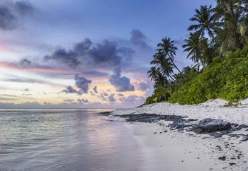 Island Stroll Staklena slika