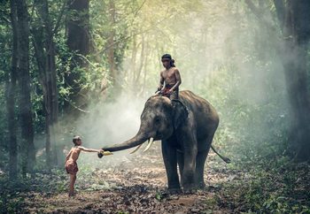 Jungle Friends Staklena slika