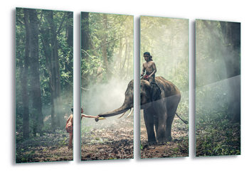 Jungle Friends Staklena slika