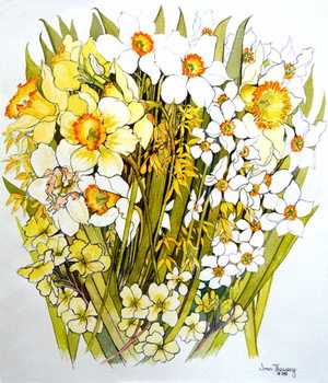 Stampa su tela Daffodils, Narcissus, Forsythia and Primroses