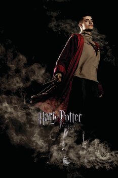 Quadro su tela Harry Potter and the Goblet of Fire - Krum