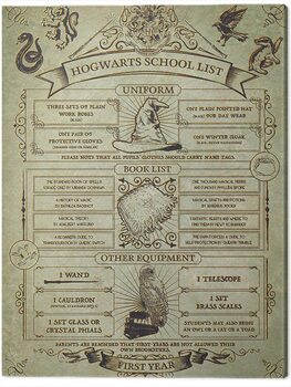 Quadro su tela Harry Potter - Hogwarts School List