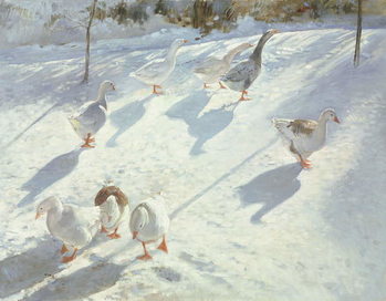 Quadro su tela In Two Directions