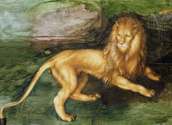 Quadro su tela Lion