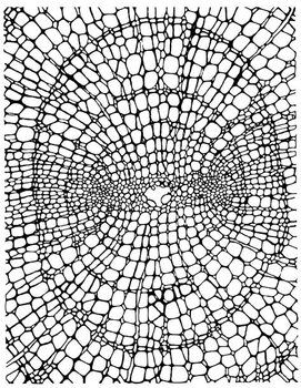 Quadro su tela Organic Dot Pattern