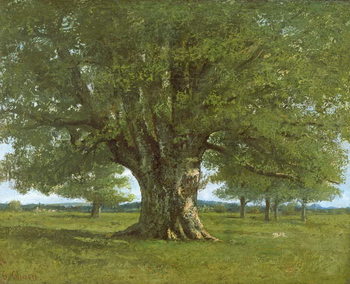 Stampa su tela The Flagey Oak Tree, 1864