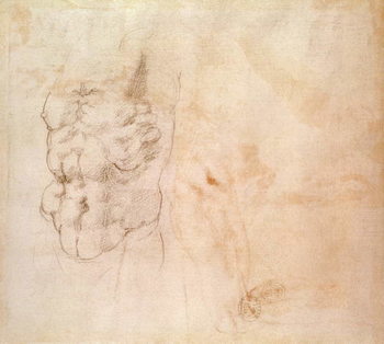 Quadro su tela Torso Study