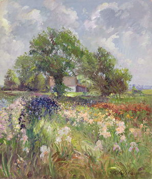 Quadro su tela White Barn and Iris Field, 1992