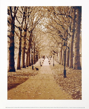 Stampa d'arte Autumn Stroll II