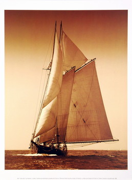 Stampa d'arte Under Sail I