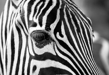 Картина у склі  Stripes