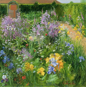 Obraz na plátně Sweet Rocket, Foxgloves and Irises, 2000