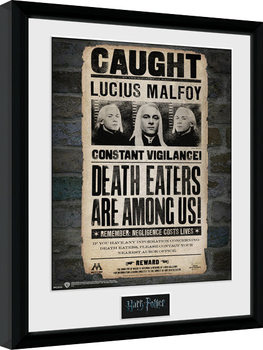 Poster encadré Harry Potter - Lucius
