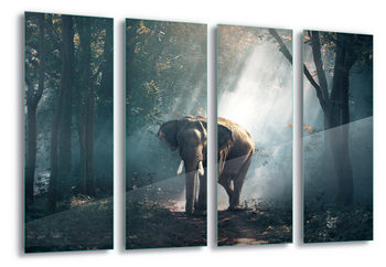 Tableau sur verre  Elephant Path