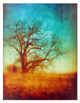 Reproduction d'art Fine Print