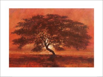 Reproduction d'art Jonathan Sanders - Desert Tree