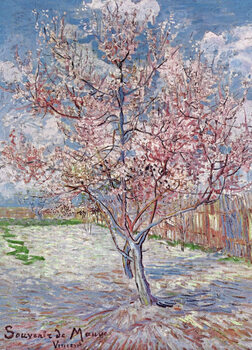 Reproduction d'art Souvenir de Mauve - Pink Peach Tree in Blossom, 1888