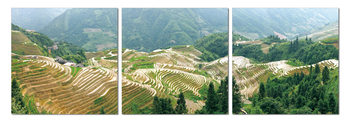 Terraced plantations Tableau Multi-Toiles