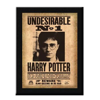 Afiș înrămat Harry Potter - Undesirable No. 1