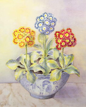 Tablou pe pânză Auricula in a Chinese Pot