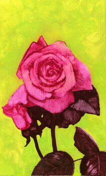 Tablou pe pânză Bright Rose, 1980s