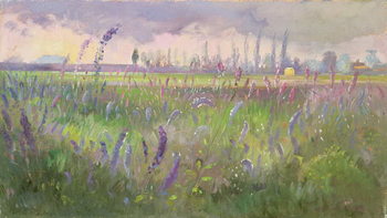 Tablou pe pânză Delphiniums, Storm passing, 1991