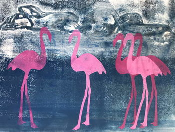 Tablou pe pânză Flamingos